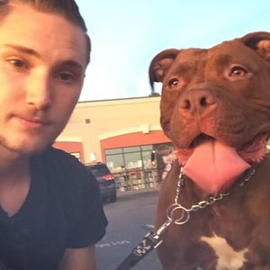 Meet your Posher, James